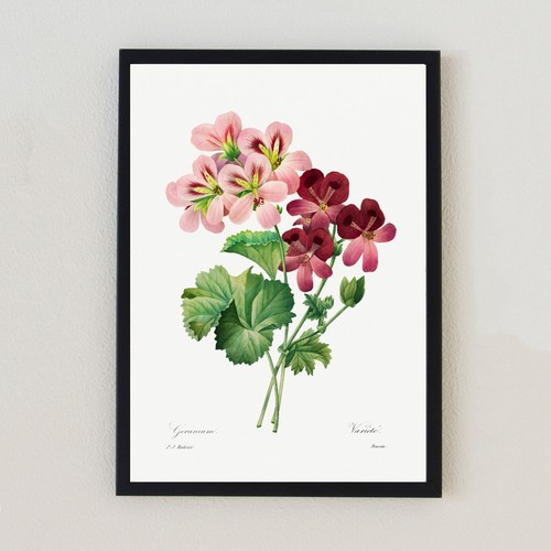 Botanical vintage flower - vintage,