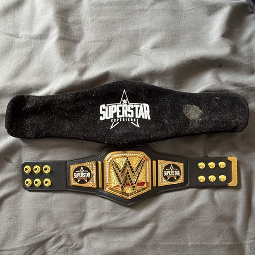 Wwe superstar experience - superstar,