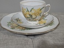 Royal Vale England bone china
