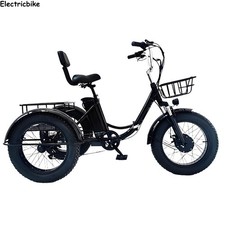 20" Foldable Electric Tricycle