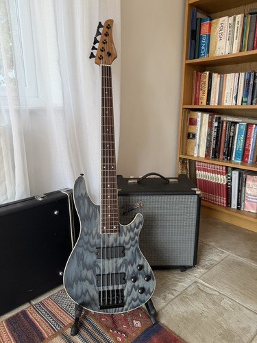 Schecter standard 5 string - standard, 5-string