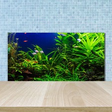 Tulup Kitchen Glass Splashback