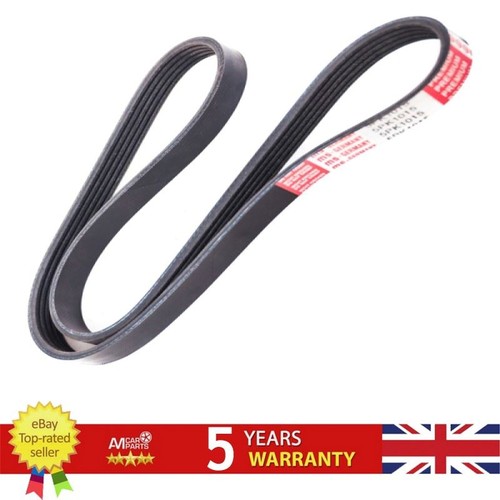 Ribbed belt for - v-ribbed, romeo
