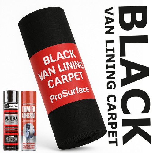 Black way stretch van - 4,