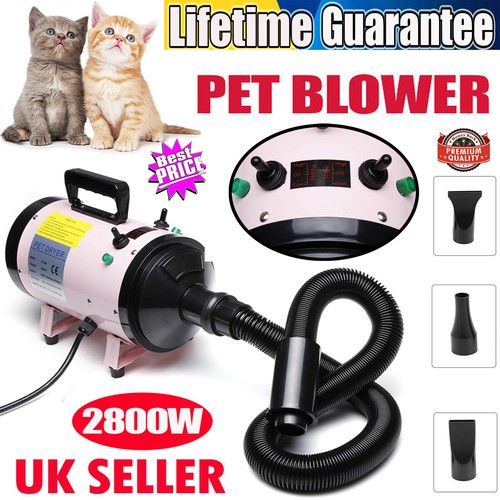 Power 2800w pet hair - hair, blaster