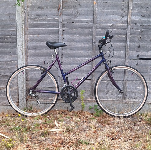 Raleigh enigma teenage - enigma,