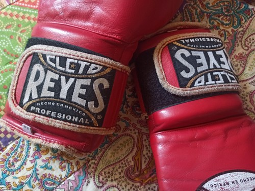 Cleto reyes punch - cleto, gloves