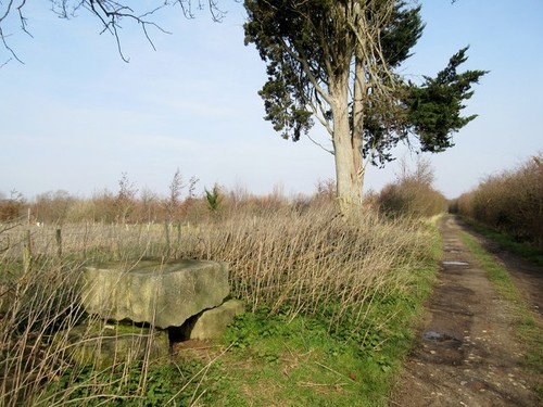 Photo stones adjacent to - photo,