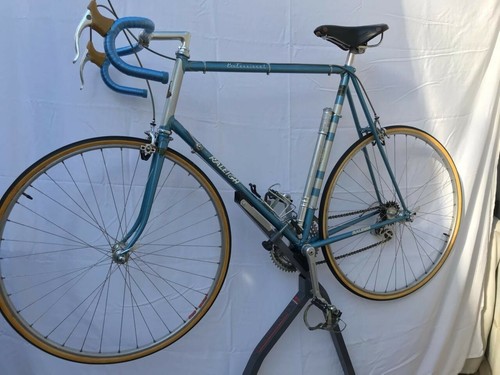 1976 1981 raleigh professional - 1976-1981,