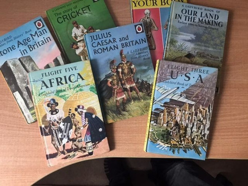 Ladybird books collection - books,