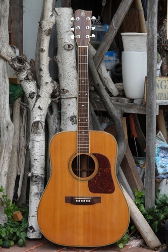 Takamine elite acoustic - takamine,