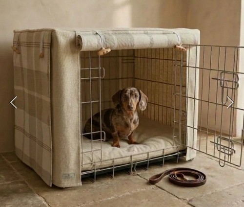 Posh poos highland - posh, dog