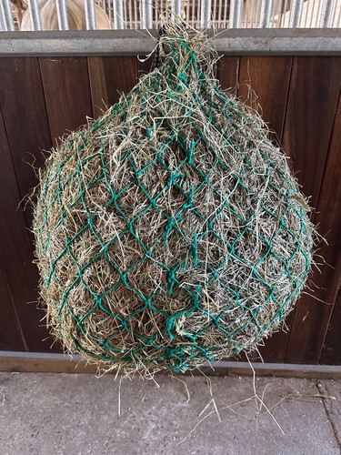 Anti shrink large hay - anti,