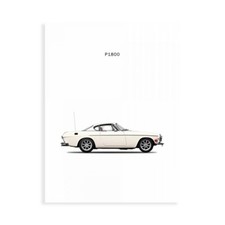 Canvas Print On Paper Poster