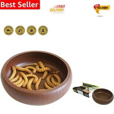Escape-Proof Mealworm Dish for