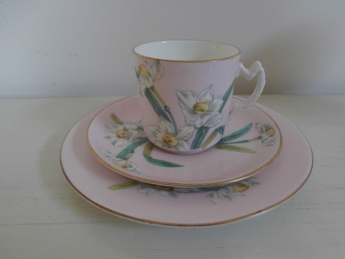 Vintage hand painted daffodils - hand,