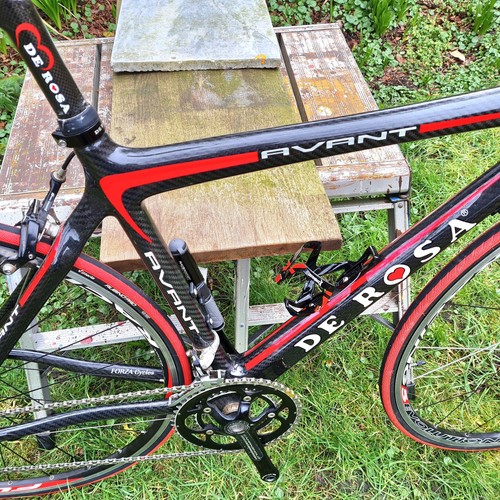 Rosa avant carbon - de,