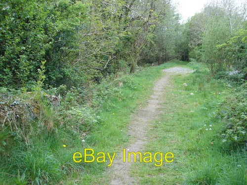 Photo 6x4 path old - 6x4,