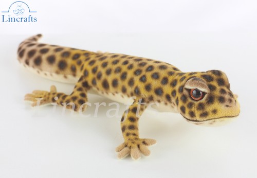 Hansa leopard gecko lizard - gecko,