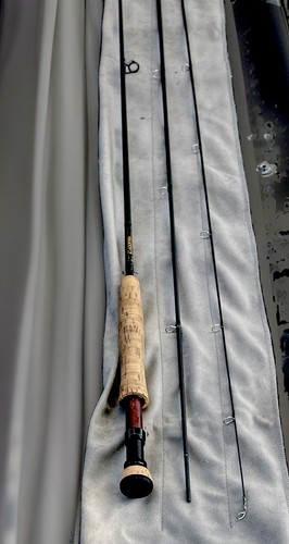 Loomis gl4 10ft 5wt - 10ft, 3pc