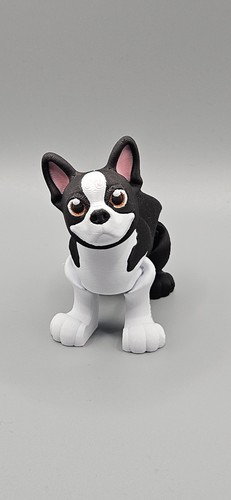 Articulated boston terrier dog