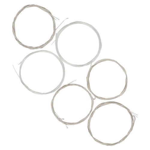 Universal oud string - oud,