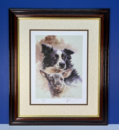 Collie lamb mick cawston - collie,