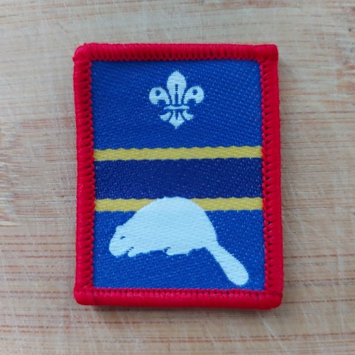Current scouting scout - current, uk