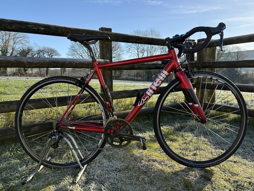Cinelli experience road bike - road,