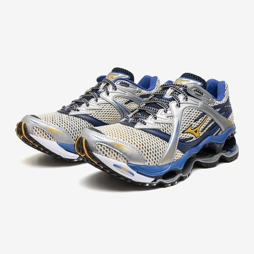 Mizuno wave prophecy - prophecy, 1
