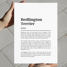 Bedlington Terrier Funny