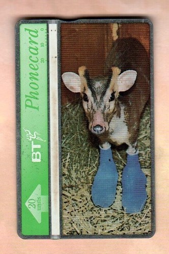 Tiggywinkles - (, )