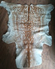 Vintage fallow deer hide - fallow,