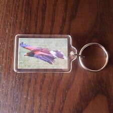  KEYRING BIRD PREY FALCONRY RAPTOR EAGLE HARRIS HAWK KITE GIFT OFF CENTRE DESIGN