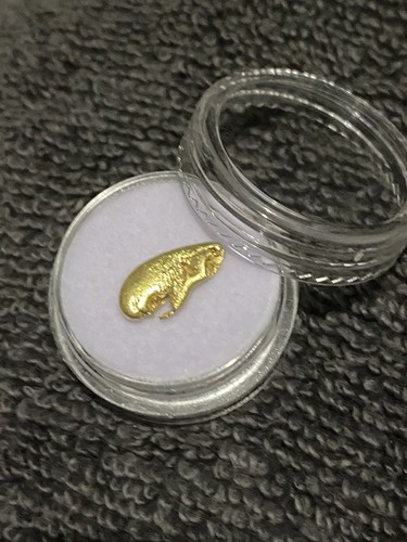 66g raw gold - ,