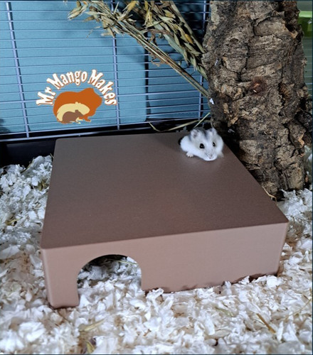 Hamster hide mouse - mouse, 4