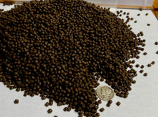 Premium "Cichlid" Discus 3.5