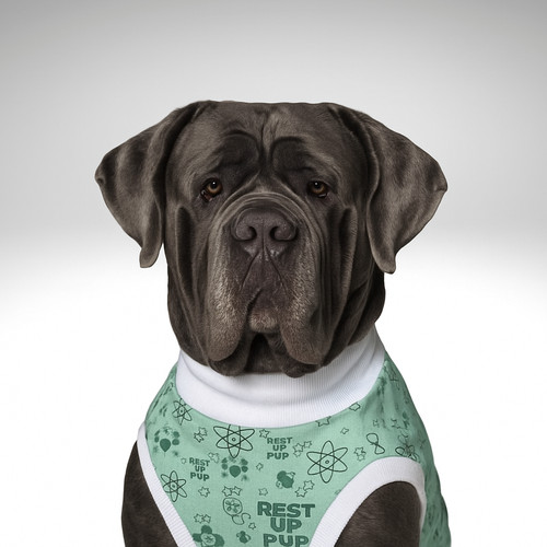 Neapolitan mastiff dog surgery - neapolitan,