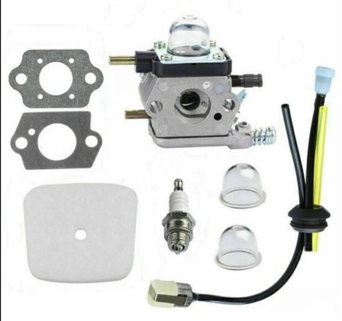 Carburetor for stroke mantis - for, 2-stroke
