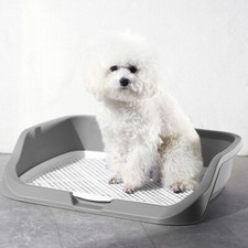 Plastic Dog Puppy Training Mat
