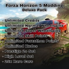 Forza Horizon 5 Account Modding