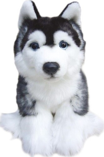 Faithful friends siberian - faithful,
