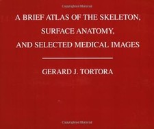 A Brief Atlas of the Human Skeleton, Surface Anatomy and Selected Medical Images