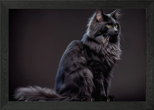 black Maine Coon cat Framed