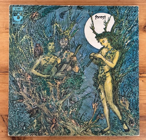 Forest very rare - forest–, forest-