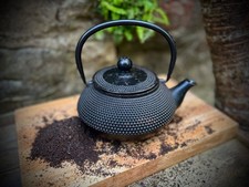 Cast iron teapot tetsu kyusu - cast,