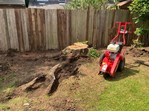 Stump grinder leicester - stump,