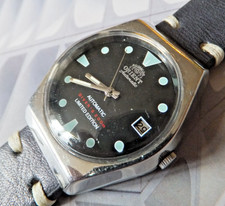 Vintage Orient Japan 21J