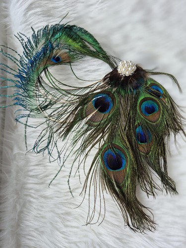 Peacock feather facinator - feather,