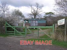 PHOTO  GROWING GREEN